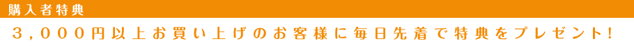 3,000円以上お買い上げのお客様に毎日先着で特典をプレゼント!