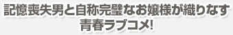 記憶喪失男と自称完璧なお嬢様が織りなす青春ラブコメ！
