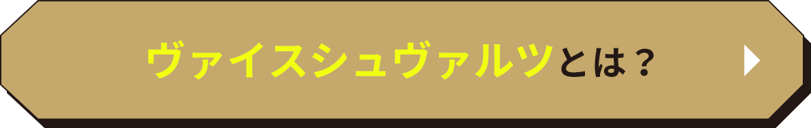 ヴァイスシュバルツとは？