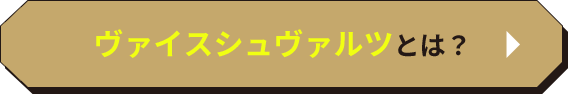 ヴァイスシュバルツとは？