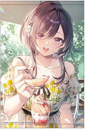 ゲーマーズ特典画像