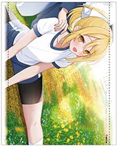 ゲーマーズ特典画像