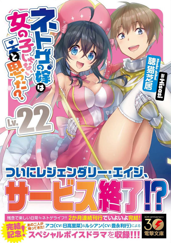 ネトゲの嫁は女の子じゃないと思った?Lv22