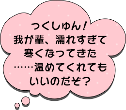 っくしゅん！我が輩、濡れすぎて寒くなってきた……温めてくれてもいいのだぞ？