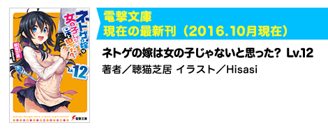 ネトゲの嫁は女の子じゃないと思った？ Lv.12