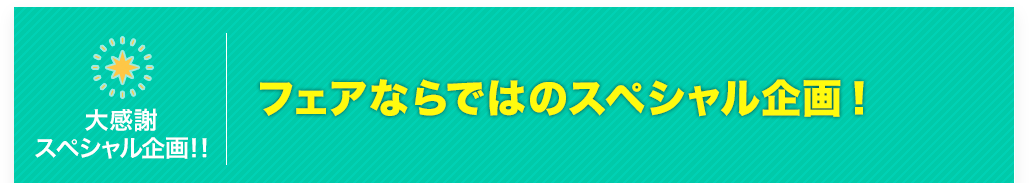 フェアならではのスペシャル企画！