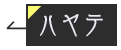 ハヤテ