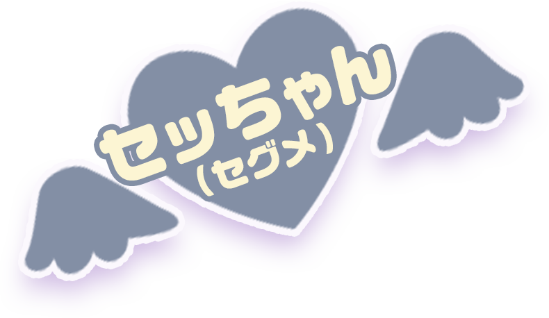 セッちゃん（セグメ）